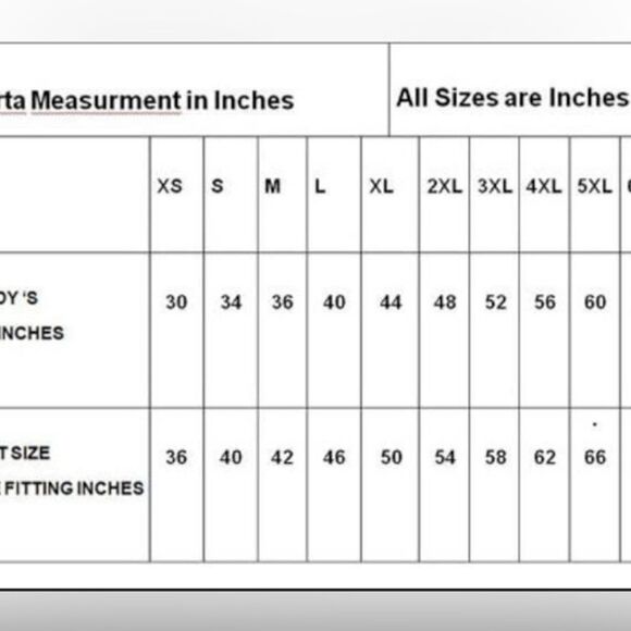 BIBA Indian Ethnic wear Kurta NWT.  Sz 34 (photo sizing) multicolor/open sides - Picture 12 of 12